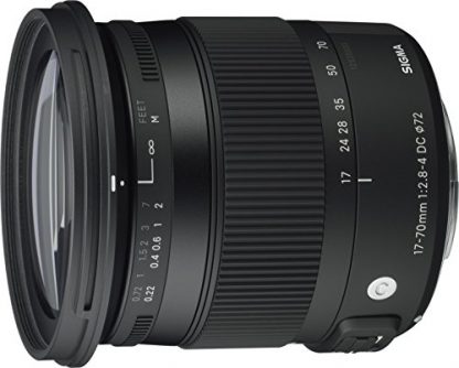 Sigma Sigma 17-70mm F2.8-4 Contemporary DC Macro (Nikon)