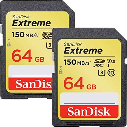Sandisk Sandisk Extreme Class 10 V30 UHS-1/U3 SDXC (64GB, SDSDXV6-064G-GNCIN)
