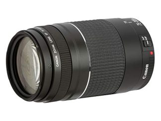 Canon EF 75-300mm f/4-5.6 III Lens