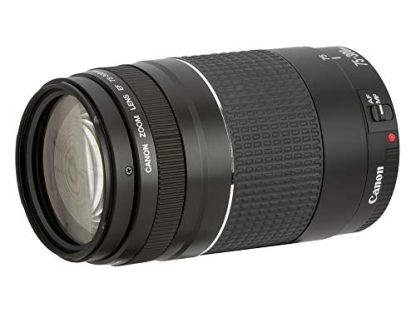 Canon EF 75-300mm f/4-5.6 III Lens