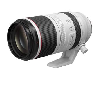 Canon RF 100-500mm f/4.5-7.1L IS USM Lens