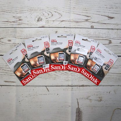 SanDisk Ultra SDXC UHS-I (256GB, SDSDUN4-256G-GN6IN)