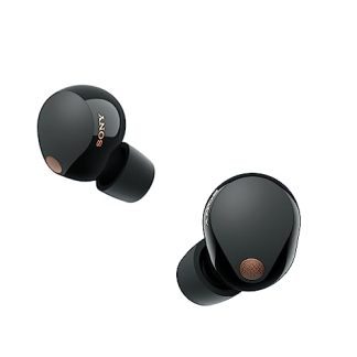 Sony WF-1000XM5 Wireless Noise Canceling Headphones (Black)