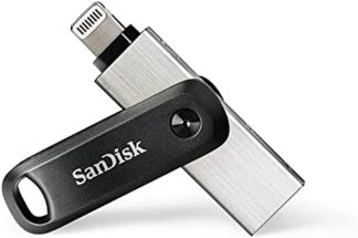 Sandisk iXpand Flash Drive Go (256GB, SDIX60N-256G-GN6NE)