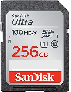Sandisk Ultra SD UHS-I (256GB, SDSDUNR-256G-GN6IN)