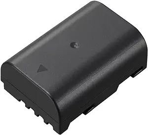 Panasonic DMW-BLF19 (Bulk) Camera Accessory