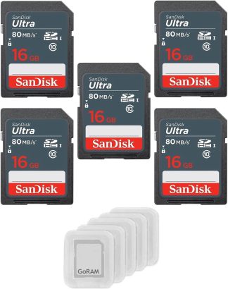 SanDisk Ultra Lite SDHC (16GB, SDSDUNS-016G-GN3IN)