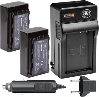 Panasonic Panasonic VW-VBD29 Rechargeable Battery Pack (Bulk)